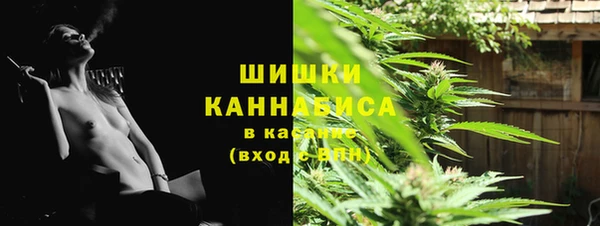 стаф Балахна
