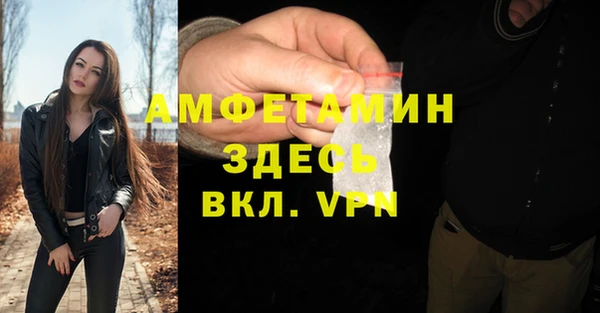 стаф Балахна