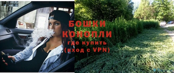 стаф Балахна