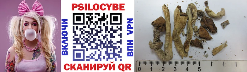 Галлюциногенные грибы Psilocybine cubensis это формула Ульяновск